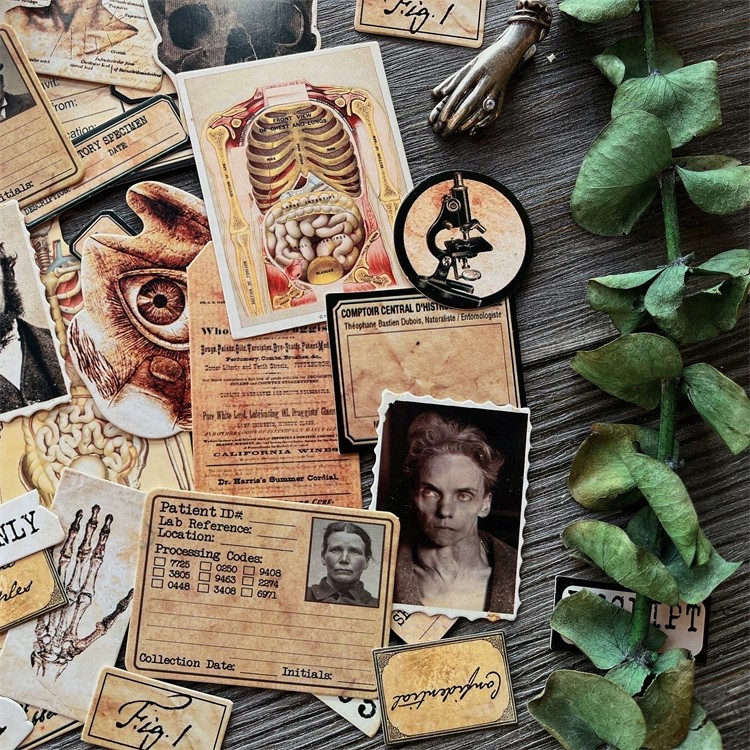 Fai da te Scrapbooking bambola - Photography Journal recensione e prezzo