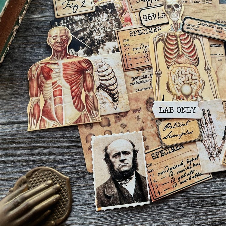 Fai da te Scrapbooking bambola - Photography Journal recensione e prezzo
